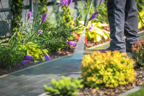 Reliable Divernon, IL Pressure Washing Services Solutions